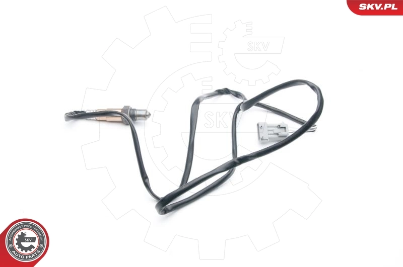 Oxygen Sensor